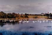 A view of the Shannon estuary
